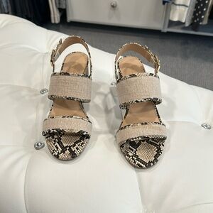 Ann Taylor Brown & Tan Sandals